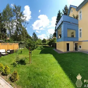  Apartment Pineapple Dresdner Heide Mit Garten