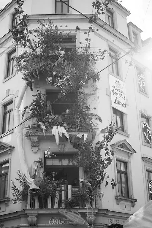 Mirabelle - Wohnen In Der Dresdner Neustadt Dresden